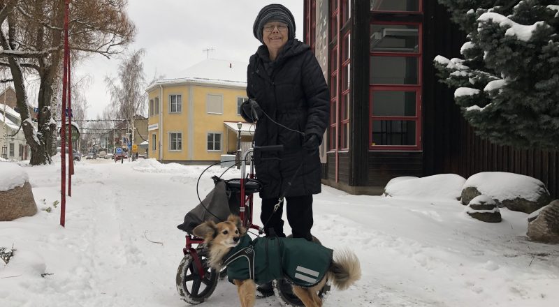 Flytta Till Estland Som Pensionär