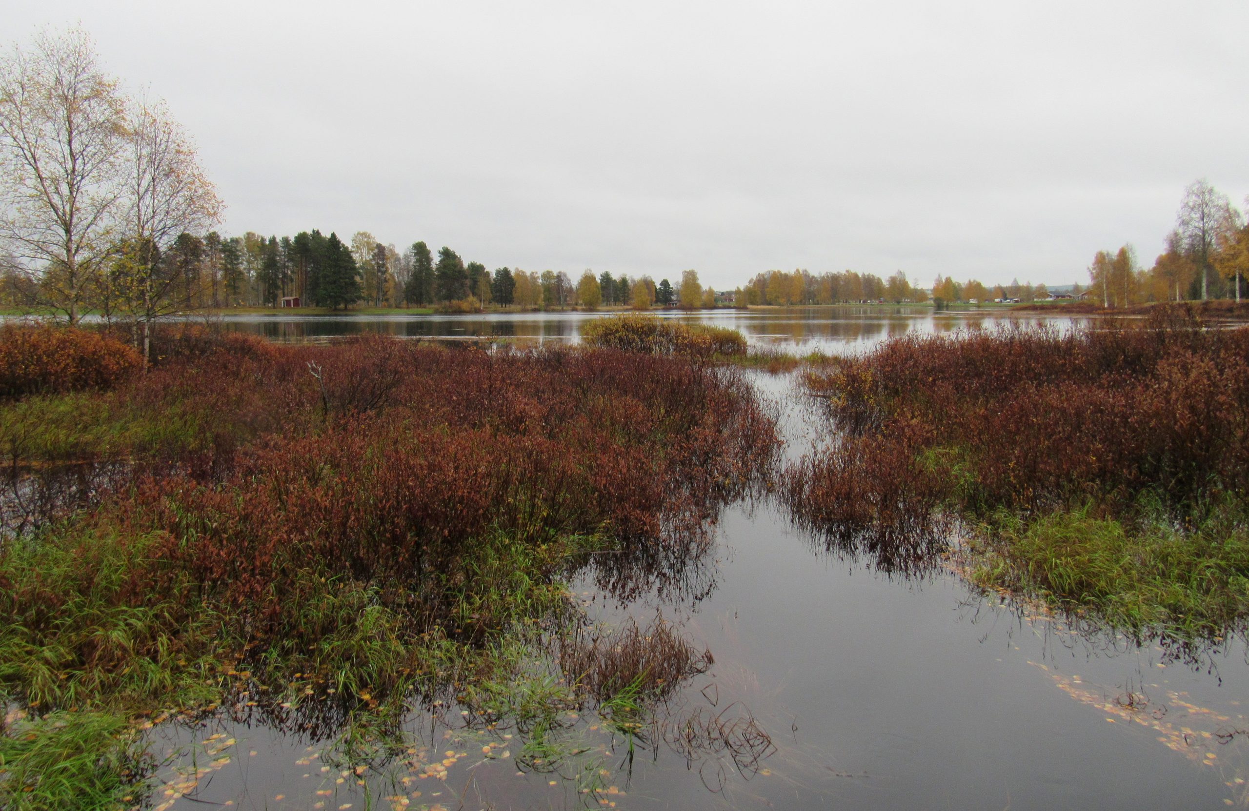 Onlayn porno portallar