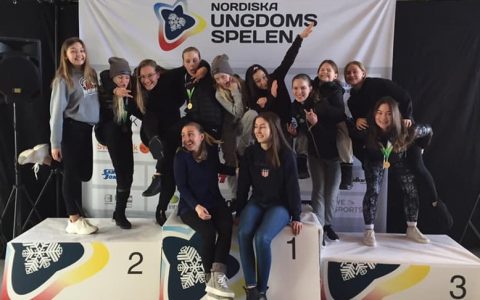 Eng qiziqarli mushuk shakllari fotosuratlari