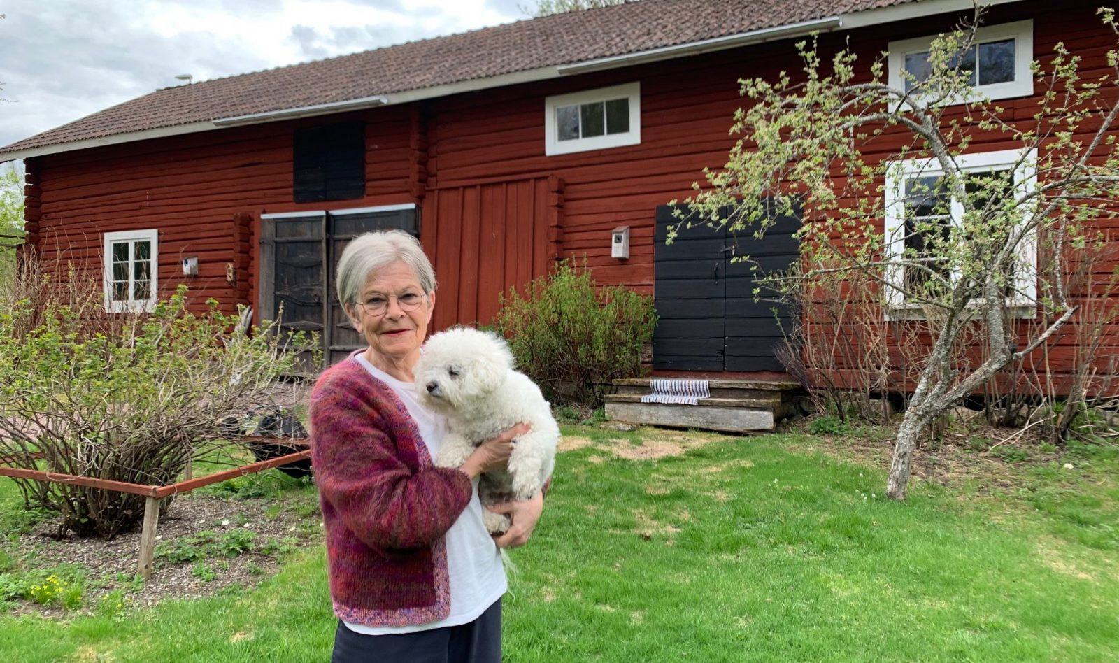 Bir yigit eshakka boglangan