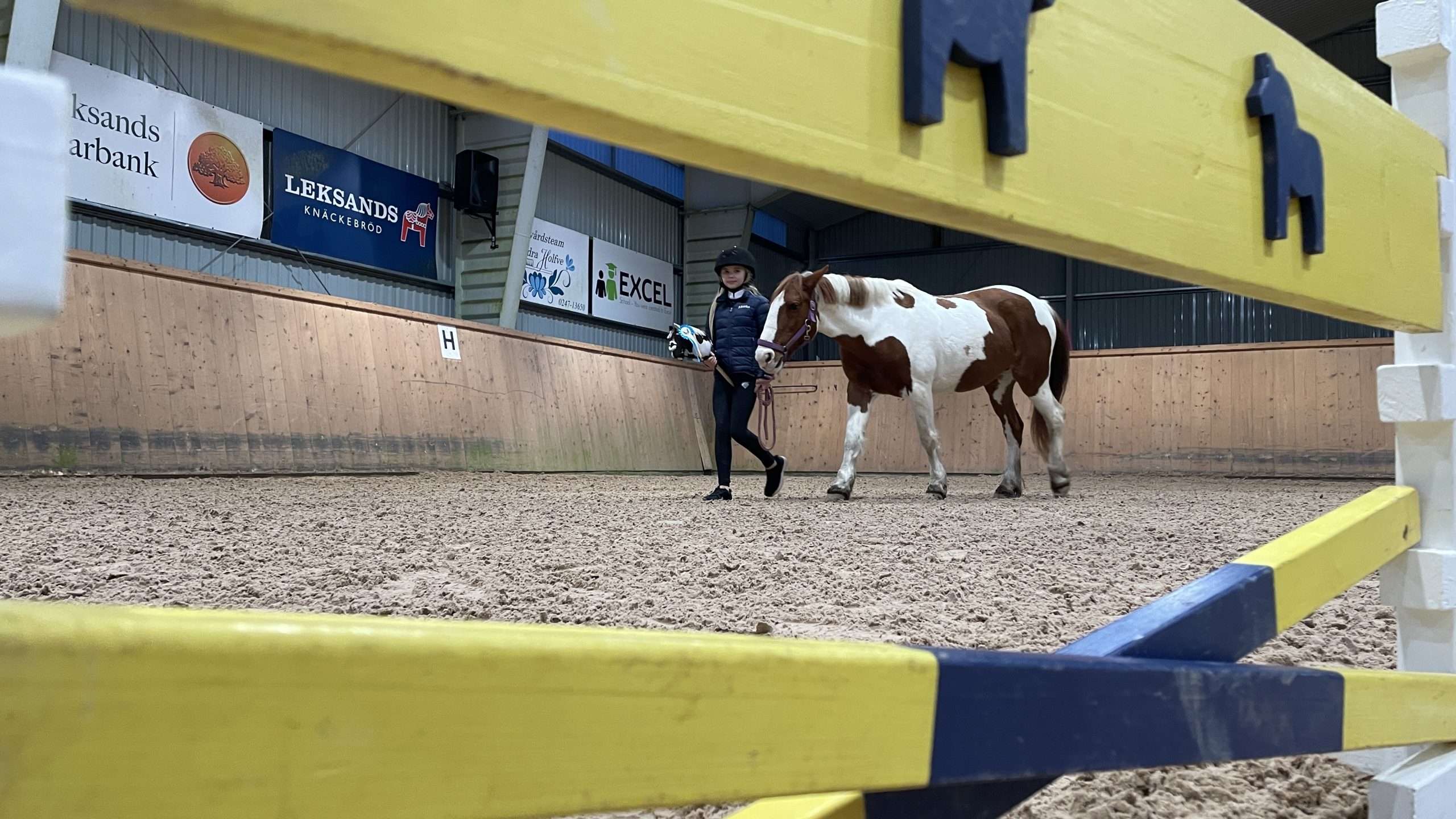 Flicka i ridhjälm leder häst i ridhuset, ett gult hinder med dalahästar syns i förgrunden.