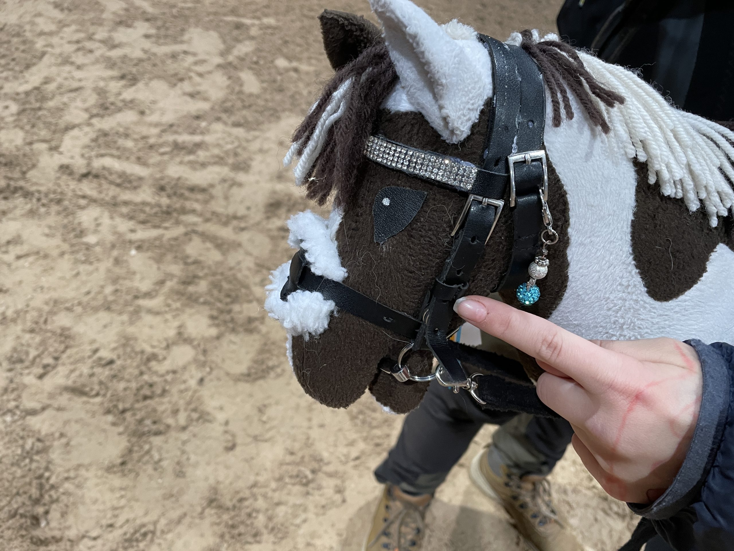 Närbild på käpphästens huvud.