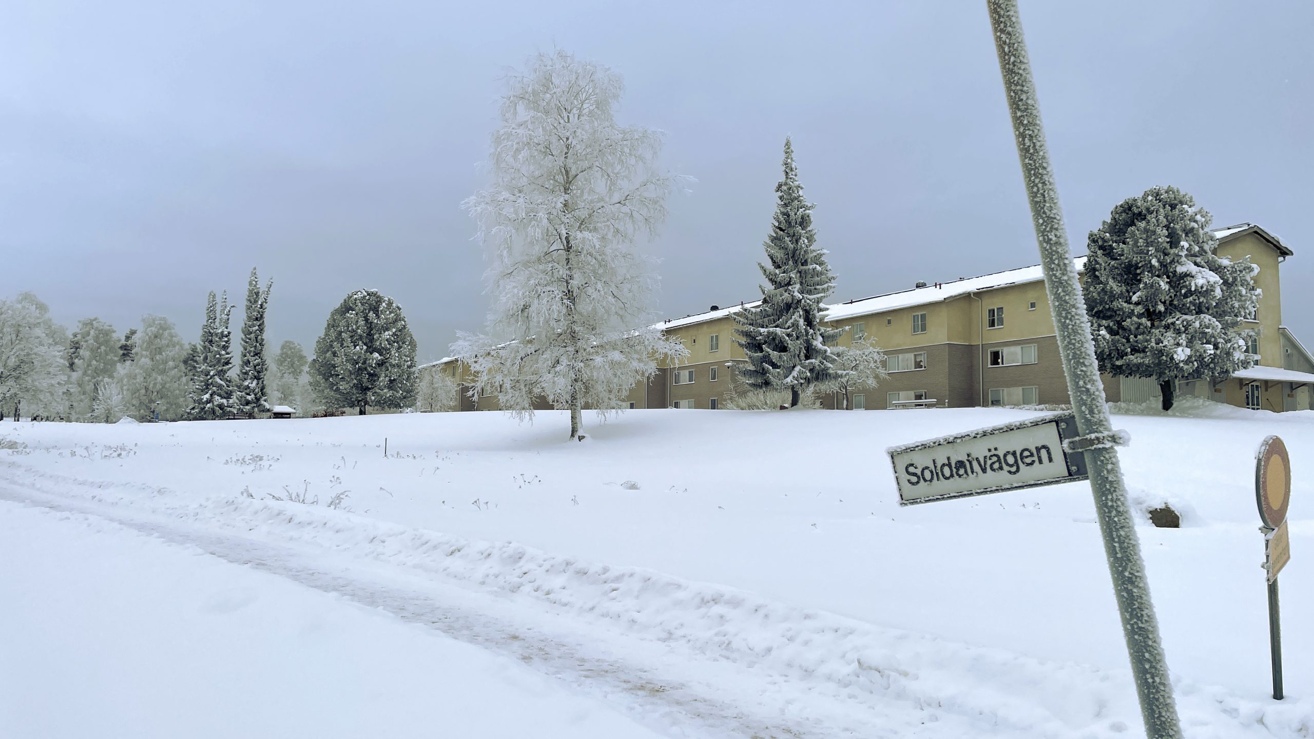 Det befintliga äldreboendet i bakgrunden, med en snötäckt gräsmatta i förgrunden.