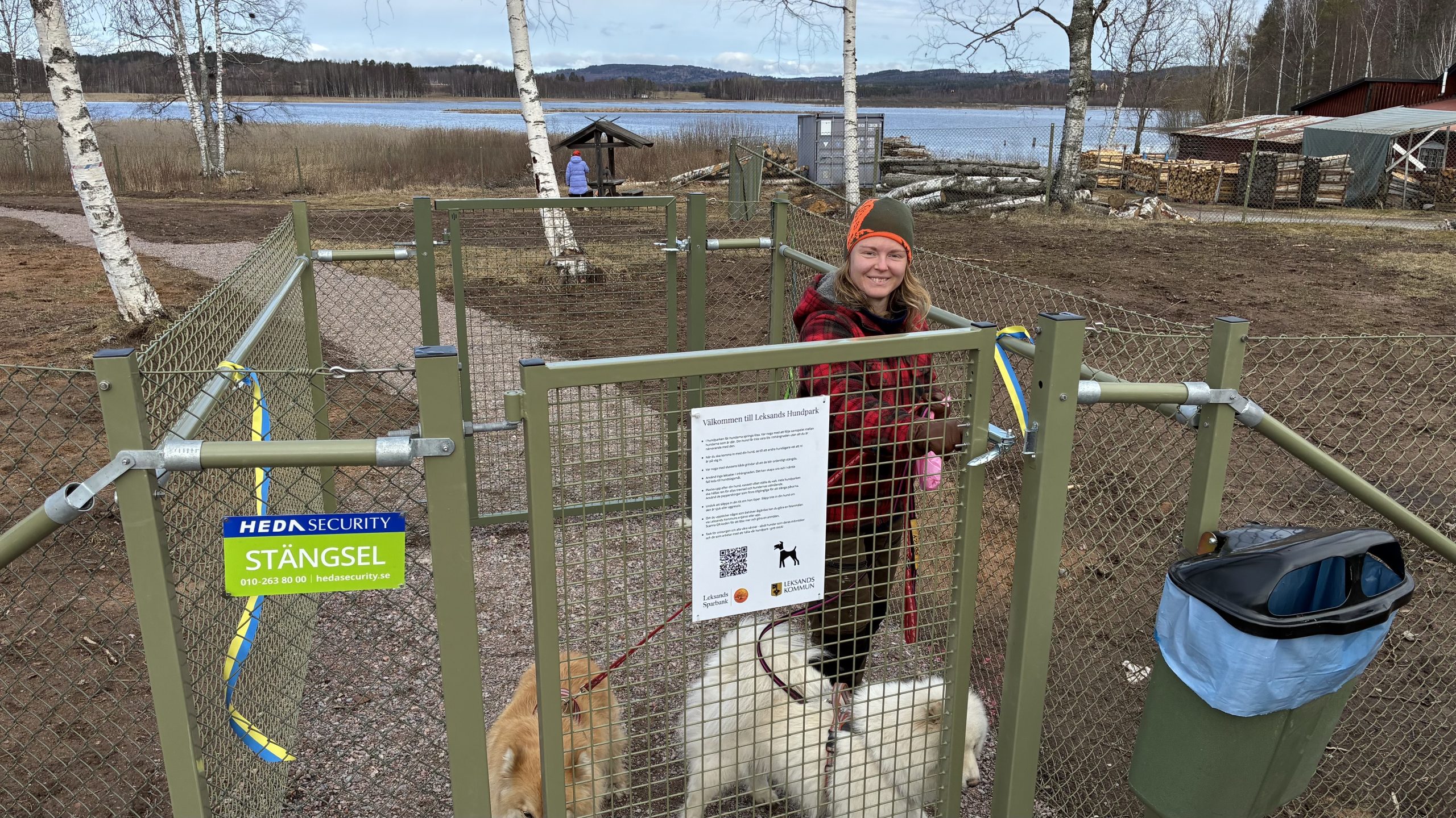 Kvinna med två hundar öppnar den närmaste grinden för att gå igenom en sluss av staket.