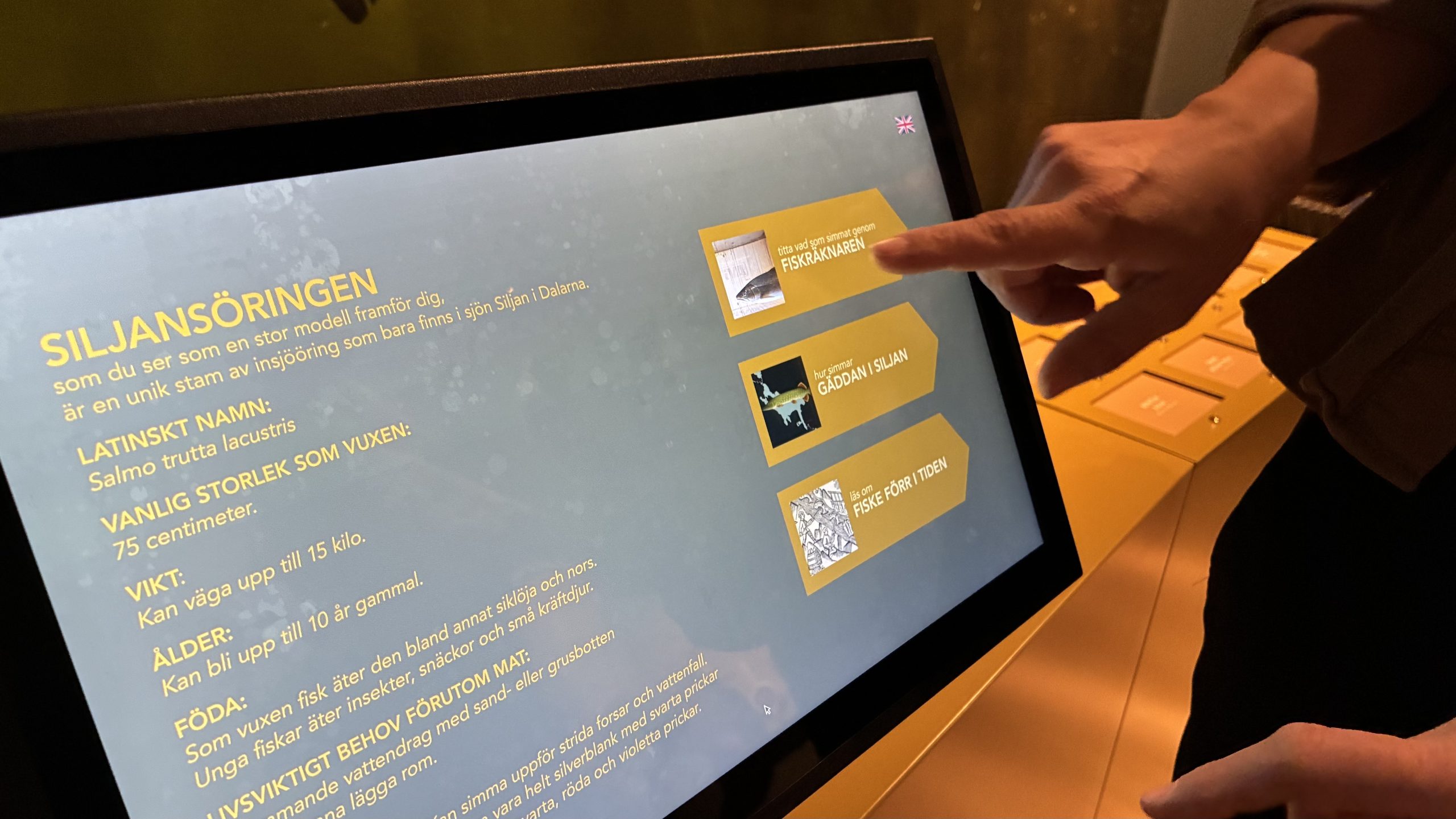 Finger pekar på en skärm som visar information om siljansöringen och andra fiskar. 