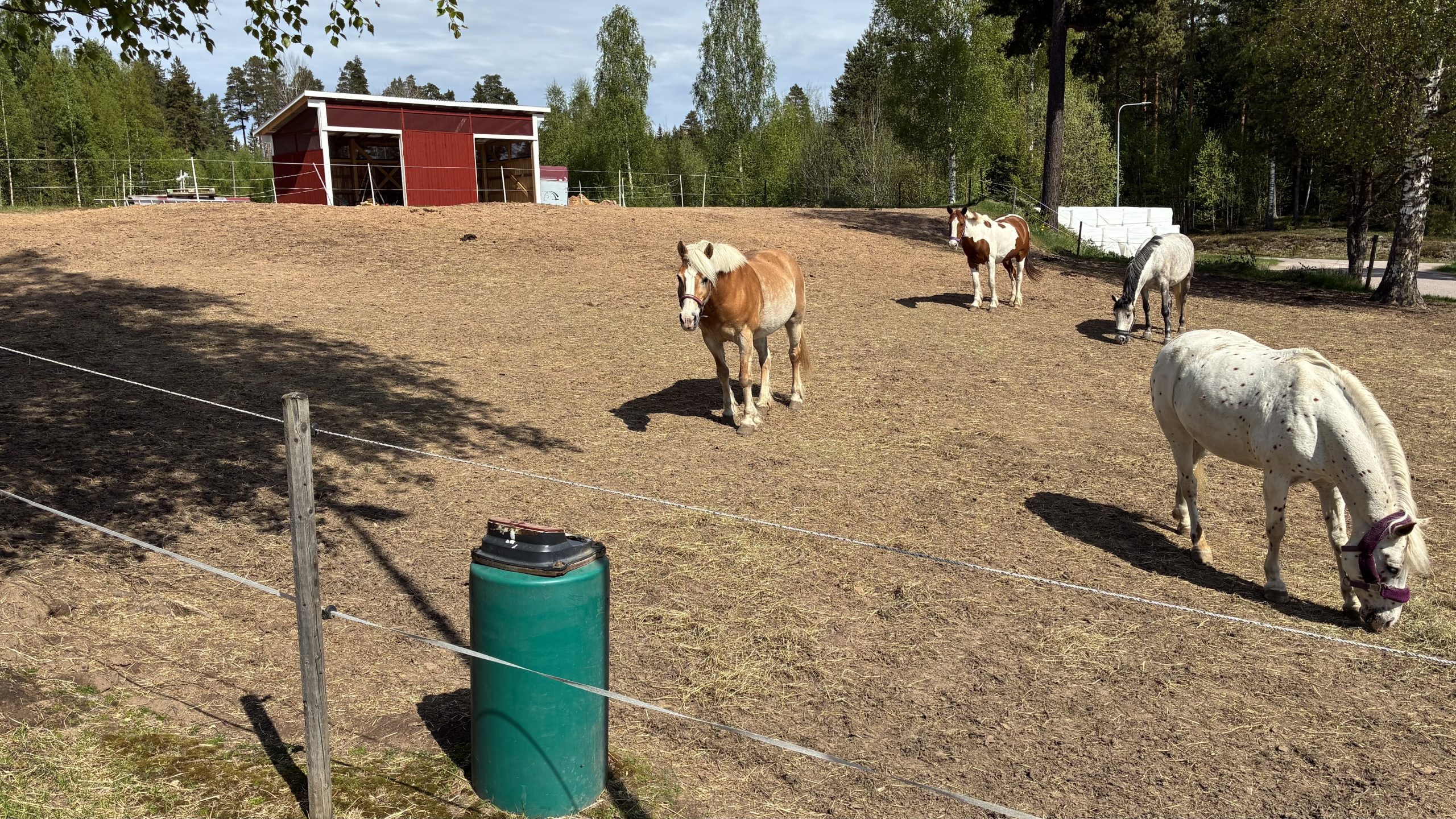 Hästhage med en röd och vit byggnad med två öppningar i bakgrunden.