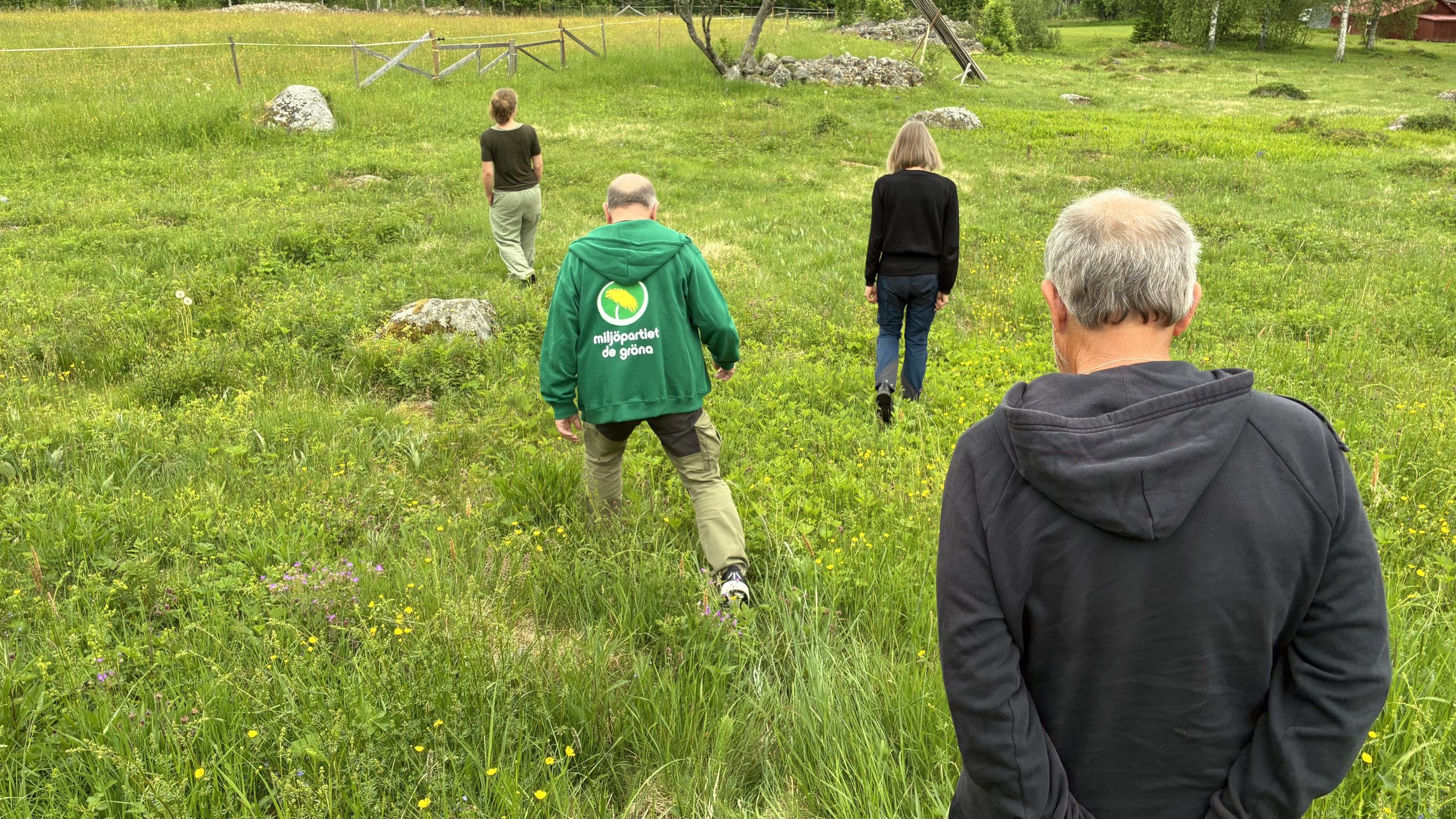 Utspridd grupp fotograferad bakifrån går nedför en grön slänt i naturen.