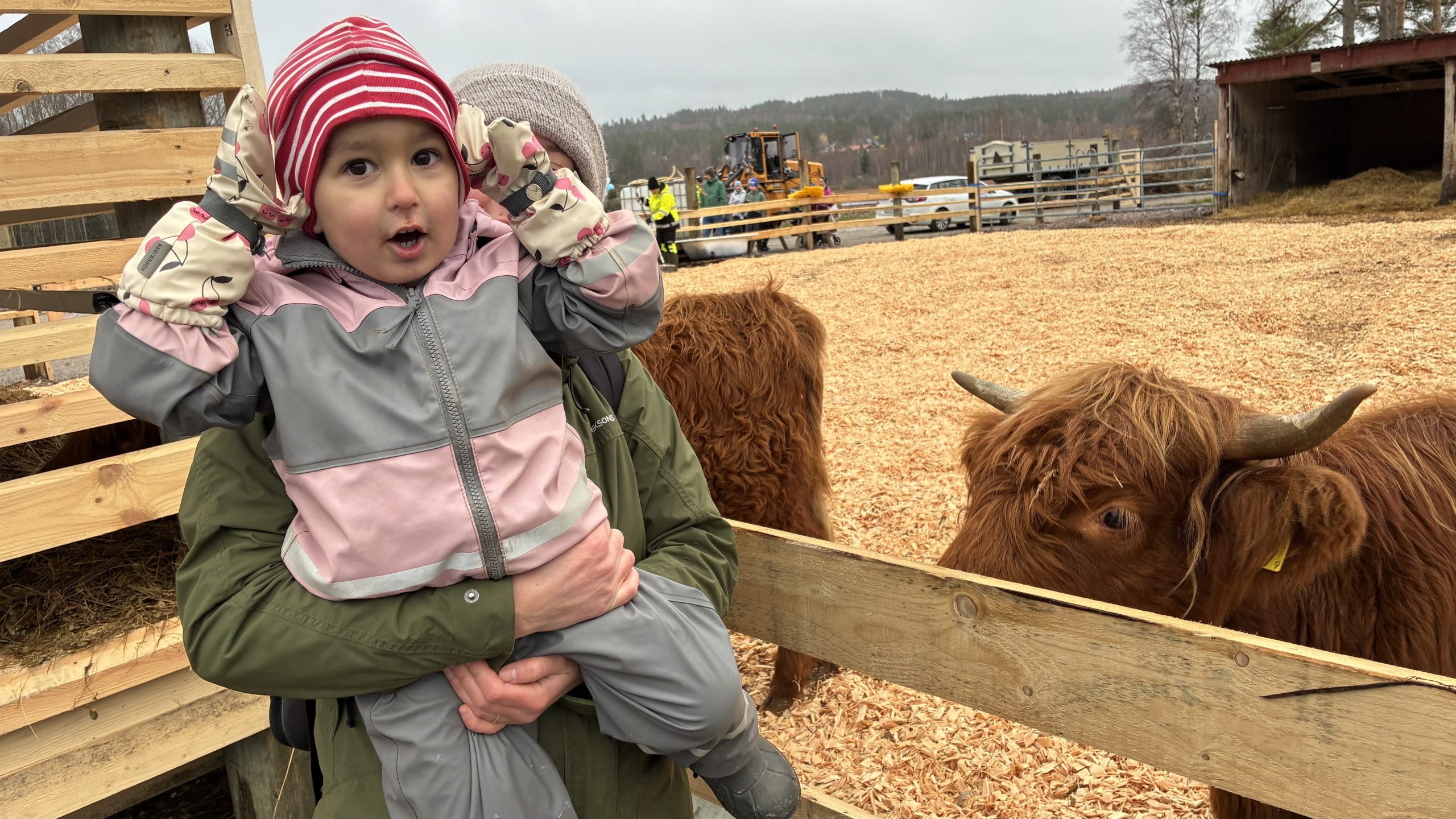 Barn i grå och rosa kläder håller upp händerna vid sidan av huvudet för att forma två horn vid öronen.